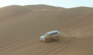 Choose a desert safari in Dubai