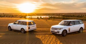 Read more about the article Luxury Desert Safari Dubai