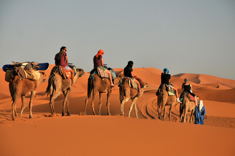 Camel-Trekking