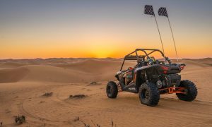Read more about the article Dubai Buggy