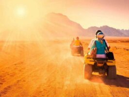 Desert Safari Experience