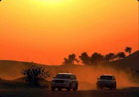 Evening desert safari dubai