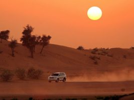 Evening desert safari dubai